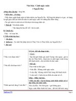 Giáo án Ngữ văn 9 bài 6: Cảnh ngày xuân (trích Truyện Kiều)