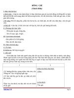 Giáo án Ngữ văn 9 bài 10: Đồng chí