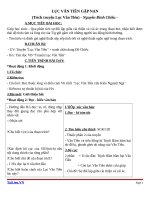 Giáo án Ngữ văn 9 bài 9: Lục Vân tiên gặp nạn (trích Truyện Lục Vân Tiên)