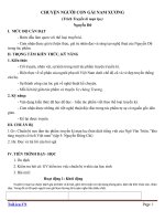 Giáo án Ngữ văn 9 bài 4: Chuyện người con gái Nam Xương (trích Truyền kì mạn lục)