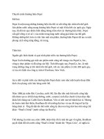 Thuyết minh thương hiệu pepsi 