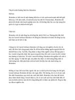 Thuyết minh thương hiệu bia heineken 