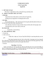 Giáo án Ngữ văn 9 bài 6: Cảnh ngày xuân (trích Truyện Kiều)