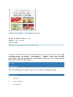 Những bài thuốc trị bệnh bằng trái cây