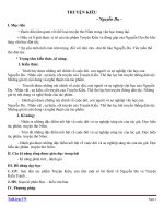 Giáo án Ngữ văn 9 bài 6: Truyện Kiều của Nguyễn Du