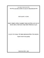 Phát triển nông nghiệp theo hướng sản xuất hàng hóa ở huyện Chợ Mới tỉnh Bắc Kạn (Luận văn thạc sĩ)