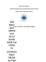 Bao Cao Thuc Tap Nghe Nghiep Cty SunDo
