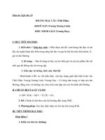 Giáo án Ngữ văn 10 tuần 17: Đọc thêm Thơ hai cu của ba sô, lầu hoàng hạc, nổi oan người phòng khuê, khe chim kêu