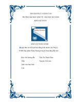 Báo cáo kết quả hoạt động kinh doanh của công ty TNHH thực phẩm thiên hương trong kỳ hoạt động đầu tiên