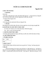 Giáo án Ngữ văn 10 tuần 13: Cảnh ngày hè