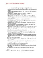 20 cau hoi quan tri nhan luc co dap an