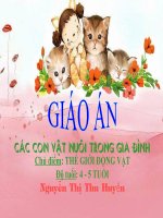 Giáo án MTXQ Các con vật nuôi trong gia đình