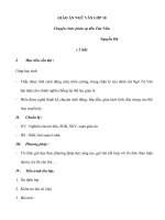 Giáo án Ngữ văn 10 tuần 24 bài: Chuyện chức phán sự đến Tản Viên  Nguyễn Dữ