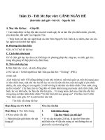 Giáo án Ngữ văn 10 tuần 13: Cảnh ngày hè