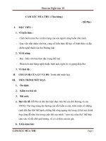 Giáo án Ngữ văn 10 tuần 16: Cảm xúc mùa thu