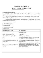 Giáo án Ngữ văn 10 tuần 7: Tấm cám