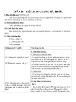 Giáo án Ngữ văn 10 tuần 10: Ca dao hài hước