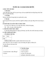 Giáo án Ngữ văn 10 tuần 10: Ca dao hài hước