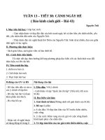 Giáo án Ngữ văn 10 tuần 13: Cảnh ngày hè