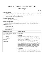 Giáo án Ngữ văn 10 tuần 16: Cảm xúc mùa thu