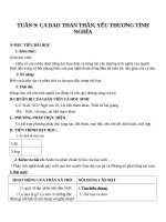 Giáo án Ngữ văn 10 tuần 9: Ca dao than thân, yêu thương tình nghĩa