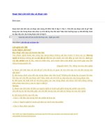 Soạn bài liên kết câu và đoạn văn