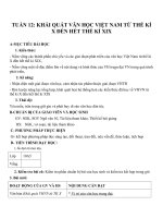 Giáo án Ngữ văn 10 tuần 12: Khái quát văn học dân gian việt nam từ thế kỹ X đến hết thế kỹ XIX