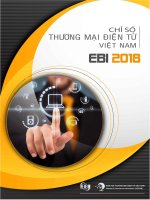 CHỈ SỐ THƯƠNG MẠI ĐIỆN TỬ VIỆT NAM EBI 2018