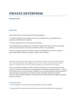 PRIVATE ENTERPRISE  LÝ LUẬN NHÀ nước VÀ PHÁP LUẬT