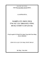 Nghiên cứu phân tích ứng xử cầu treo dây võng do sự cố đứt cáp gây ra