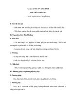 Giáo án Ngữ văn 10 tuần 30 bài: Chí khí anh hùng  Truyện Kiều