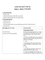 Giáo án Ngữ văn 10 tuần 2: Văn bản