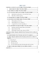 áp dụng mô hình bullwhip để cài tiến chuỗi cung ứng bia lon 333 của tổng công ty cổ phần bia rượu nước giải khát sài gòn (sabeco)