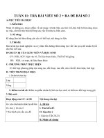 Giáo án Ngữ văn 10 tuần 11: Trả bài làm văn số 2, ra đề bài số 3