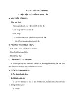 Giáo án Ngữ văn 11 tuần 24 bài: Luyện tập  Tiểu sử tóm tắt