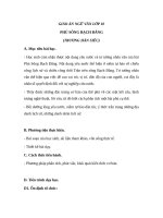 Giáo án Ngữ văn 10 tuần 19 bài: Phú sông Bạch Đằng