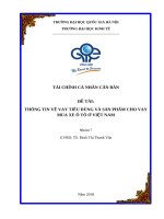 thông tin về vay tiêu dùng đặc biệt về sản phẩm cho vay mua xe ô tô ở việt nam