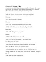 General motor diet 1234567