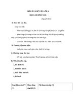 Giáo án Ngữ văn 10 tuần 19 bài: Đại cáo bình Ngô  Nguyễn Trãi