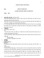 Giáo án Ngữ văn 11 tuần 24 bài: Luyện tập  Tiểu sử tóm tắt