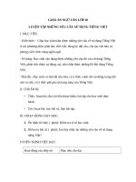 Giáo án Ngữ văn 10 tuần 25 bài: Những yêu cầu về sử dụng tiếng Việt