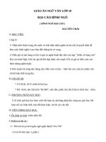 Giáo án Ngữ văn 10 tuần 19 bài: Đại cáo bình Ngô  Nguyễn Trãi