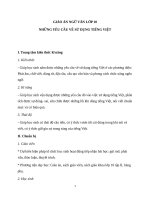 Giáo án Ngữ văn 10 tuần 25 bài: Những yêu cầu về sử dụng tiếng Việt