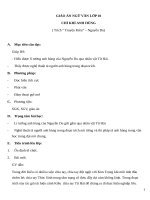 Giáo án Ngữ văn 10 tuần 30 bài: Chí khí anh hùng  Truyện Kiều