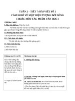 Giáo án Ngữ văn 10 tuần 2: Viết bài làm văn số 1