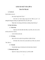 Giáo án Ngữ văn 11 tuần 24 bài: Luyện tập  Tiểu sử tóm tắt