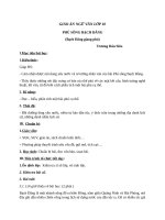 Giáo án Ngữ văn 10 tuần 19 bài: Phú sông Bạch Đằng