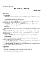 Giáo án Ngữ văn 11 tuần 2: Tự tình (bài II)