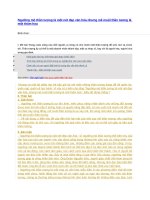 Ngưỡng mộ thần tượng là một nét đẹp văn hóa nhưng mê muội thần tượng là một thảm họa