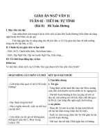 Giáo án Ngữ văn 11 tuần 2: Tự tình (bài II)